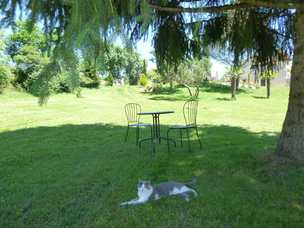Bed and Breakfast Au Mas De Gamet Théminettes Esterno foto