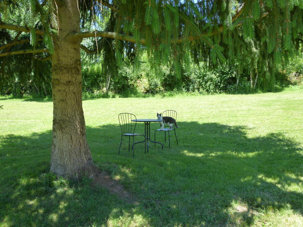 Bed and Breakfast Au Mas De Gamet Théminettes Esterno foto