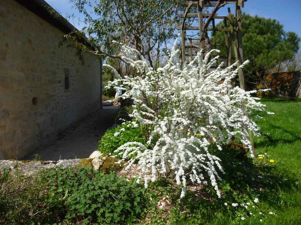 Bed and Breakfast Au Mas De Gamet Théminettes Esterno foto